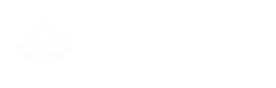 IPN AI Youth Summit 2026